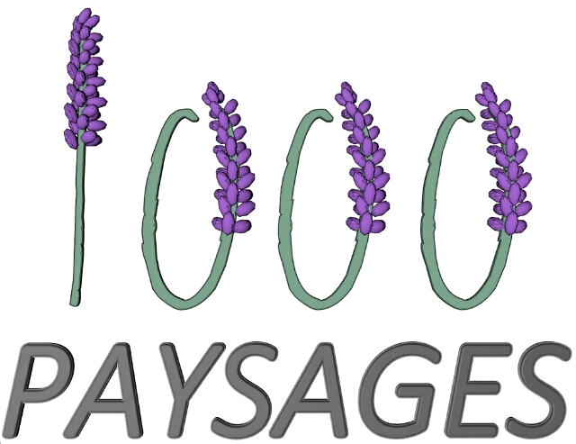 1000 PAYSAGES