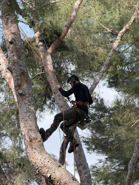 Réalisation