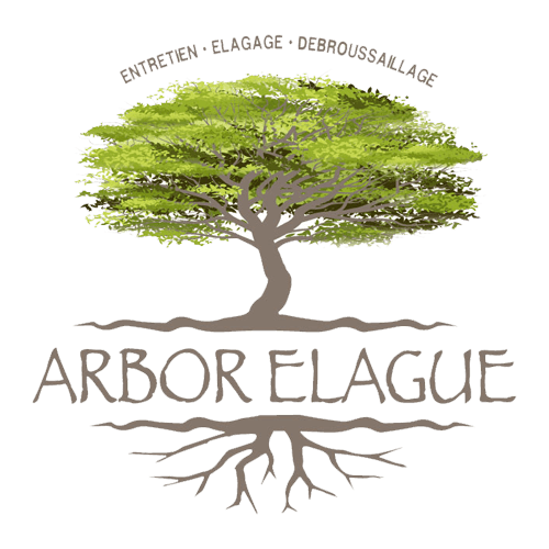 Arbor Elague