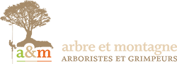Arbre et Montagne