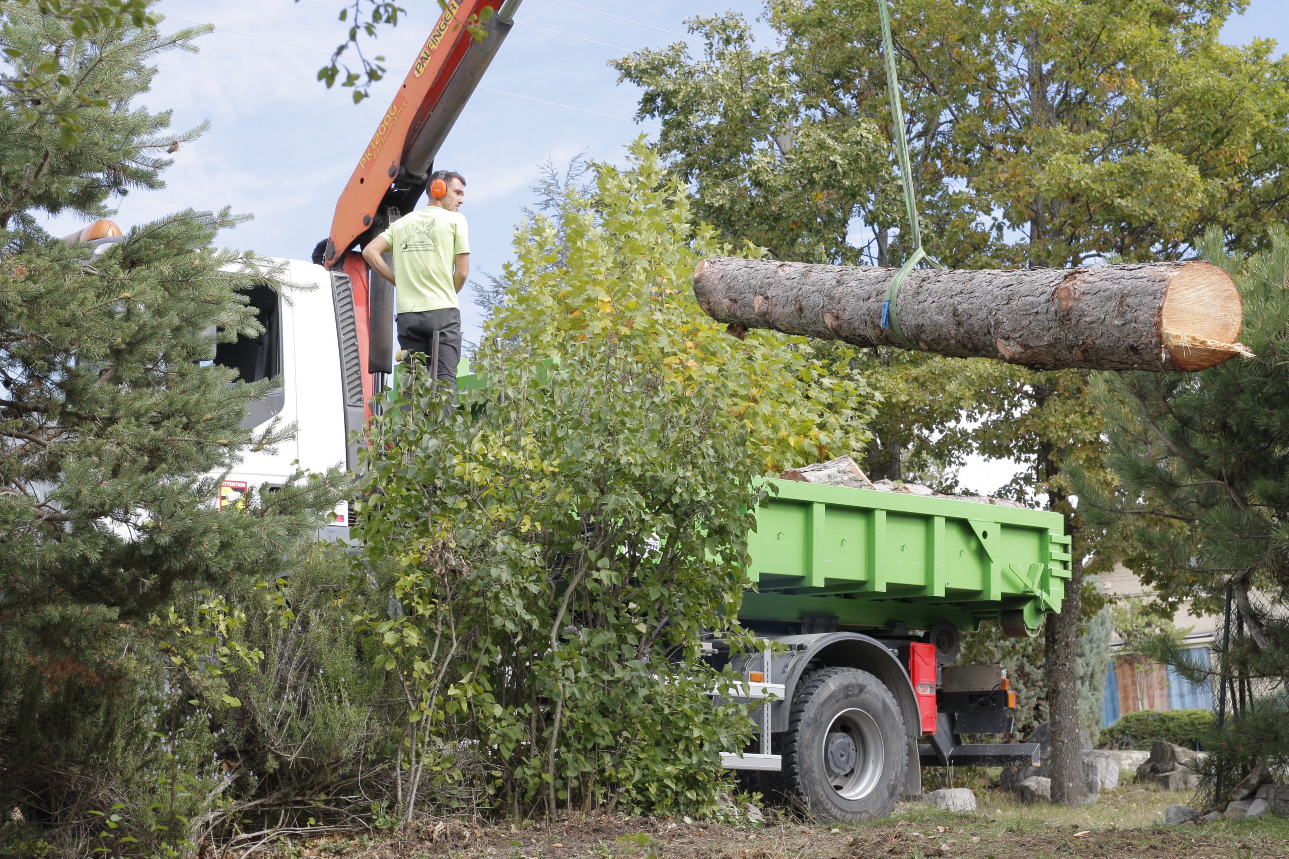 Réalisation de Arbres et techniques