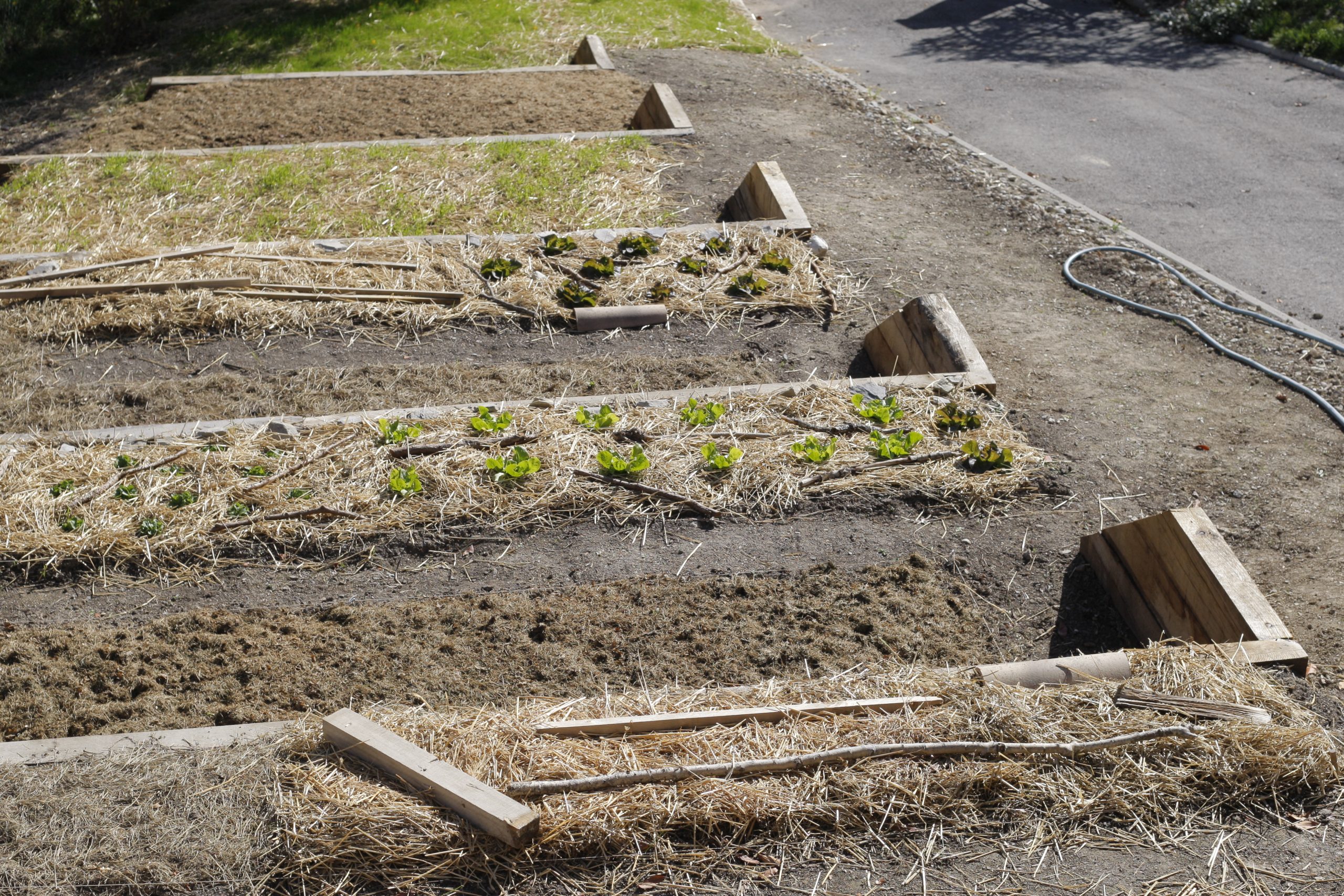 Entretien & espaces verts