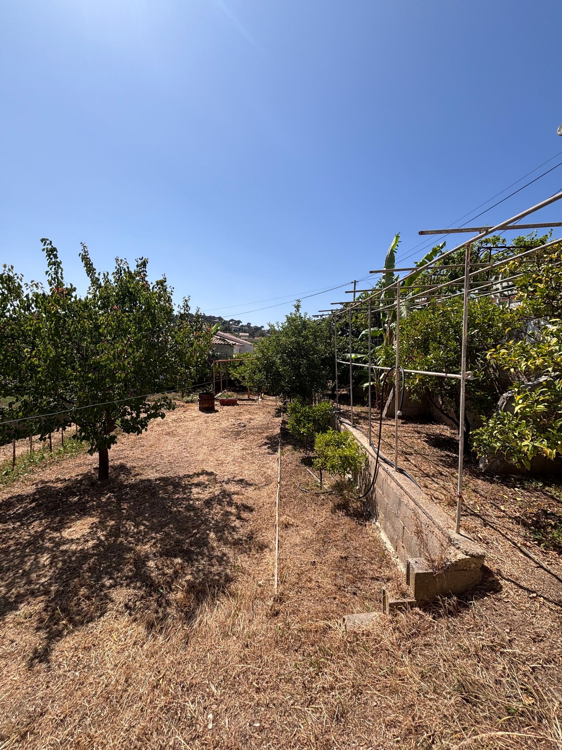 Entretien & espaces verts