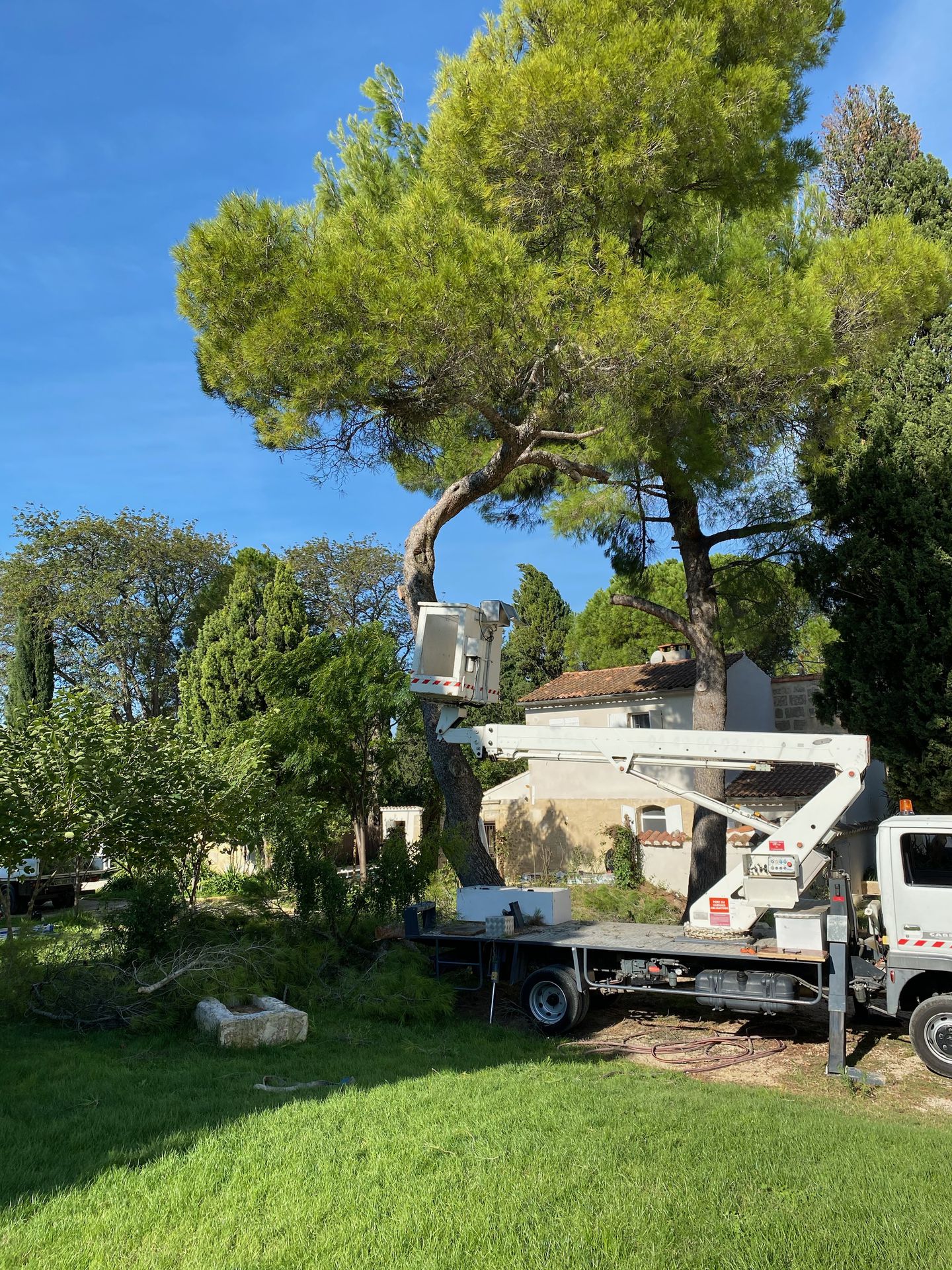 Création de jardin