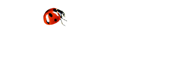 BIO SEV PASERO