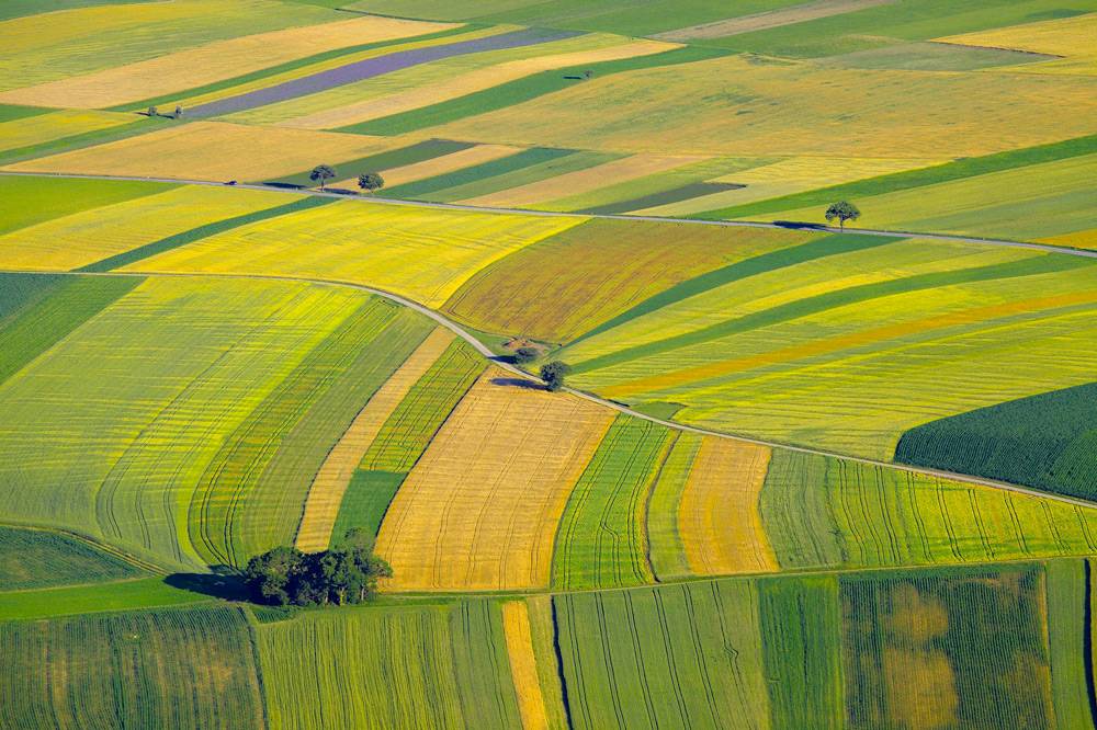 Entretien & espaces verts