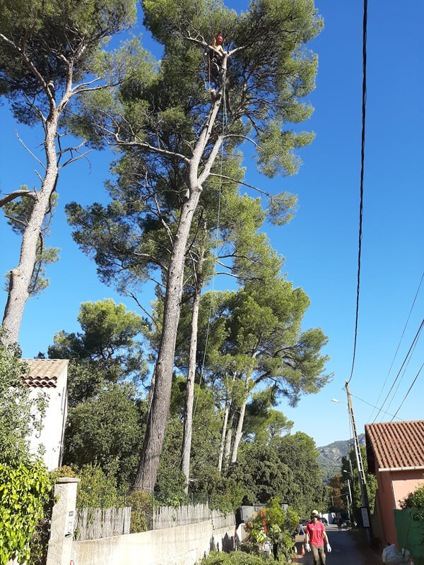 Création de jardin