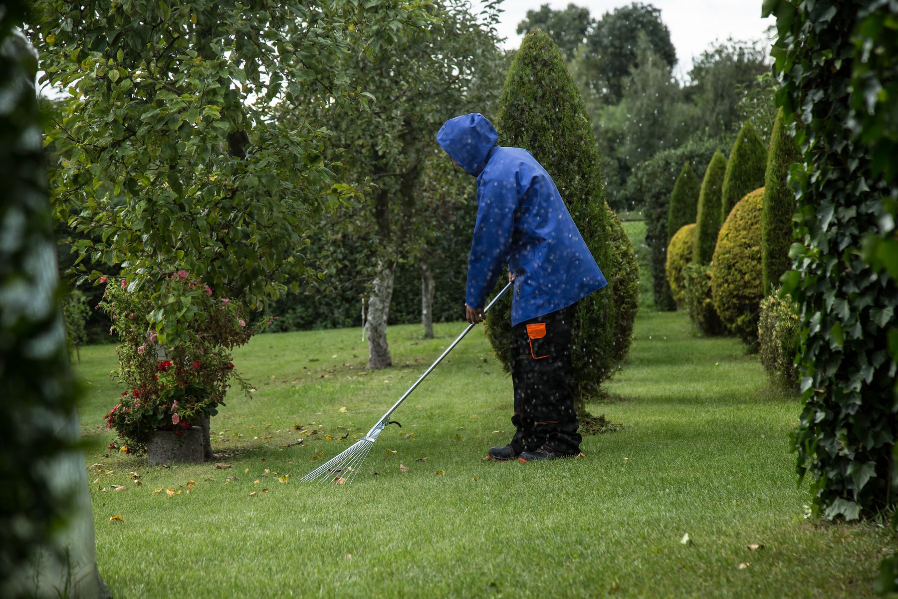 Entretien de jardin