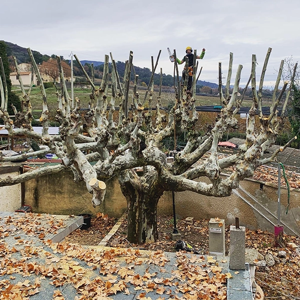 Création de jardin