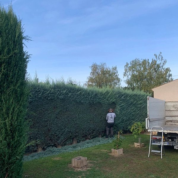 Entretien & espaces verts
