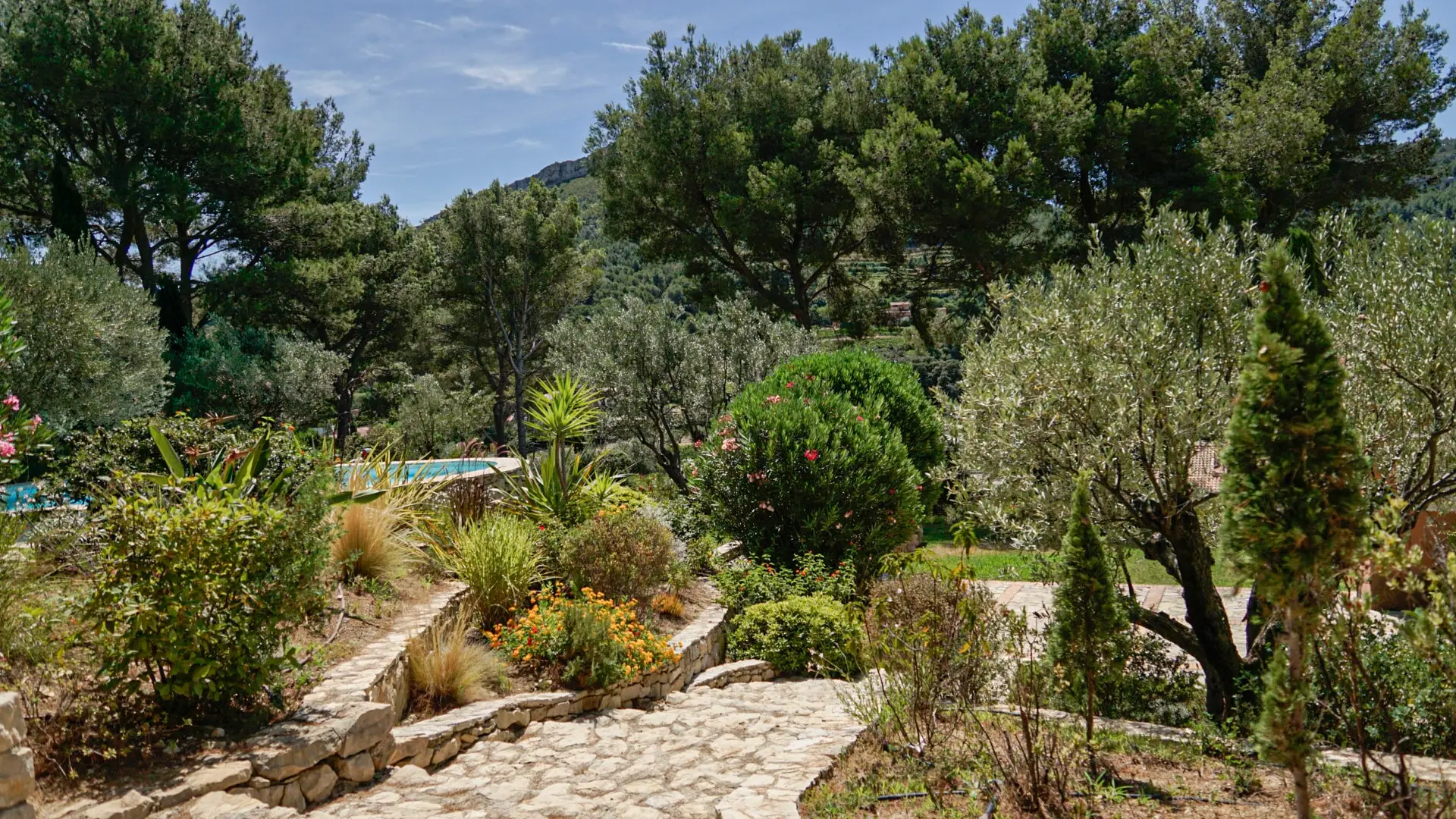 Réalisation de Ecoverde Paysages