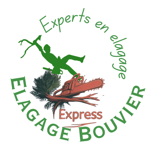 Élagage Bouvier Express