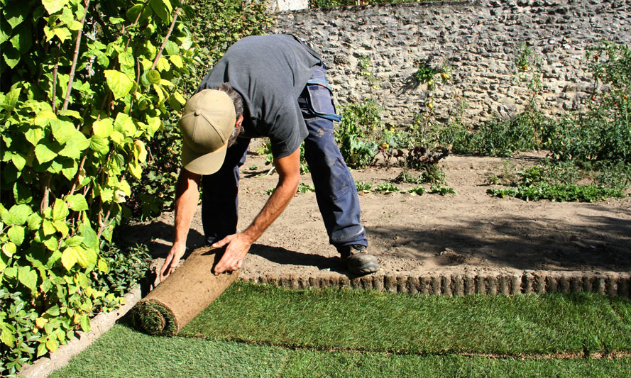 Réalisation de Elagage JEV Jardins Espaces Verts