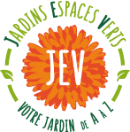 Elagage JEV Jardins Espaces Verts