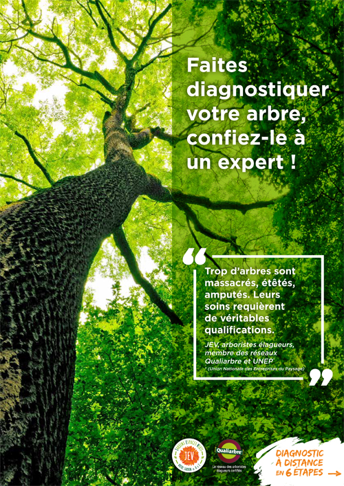 Aménagement paysager