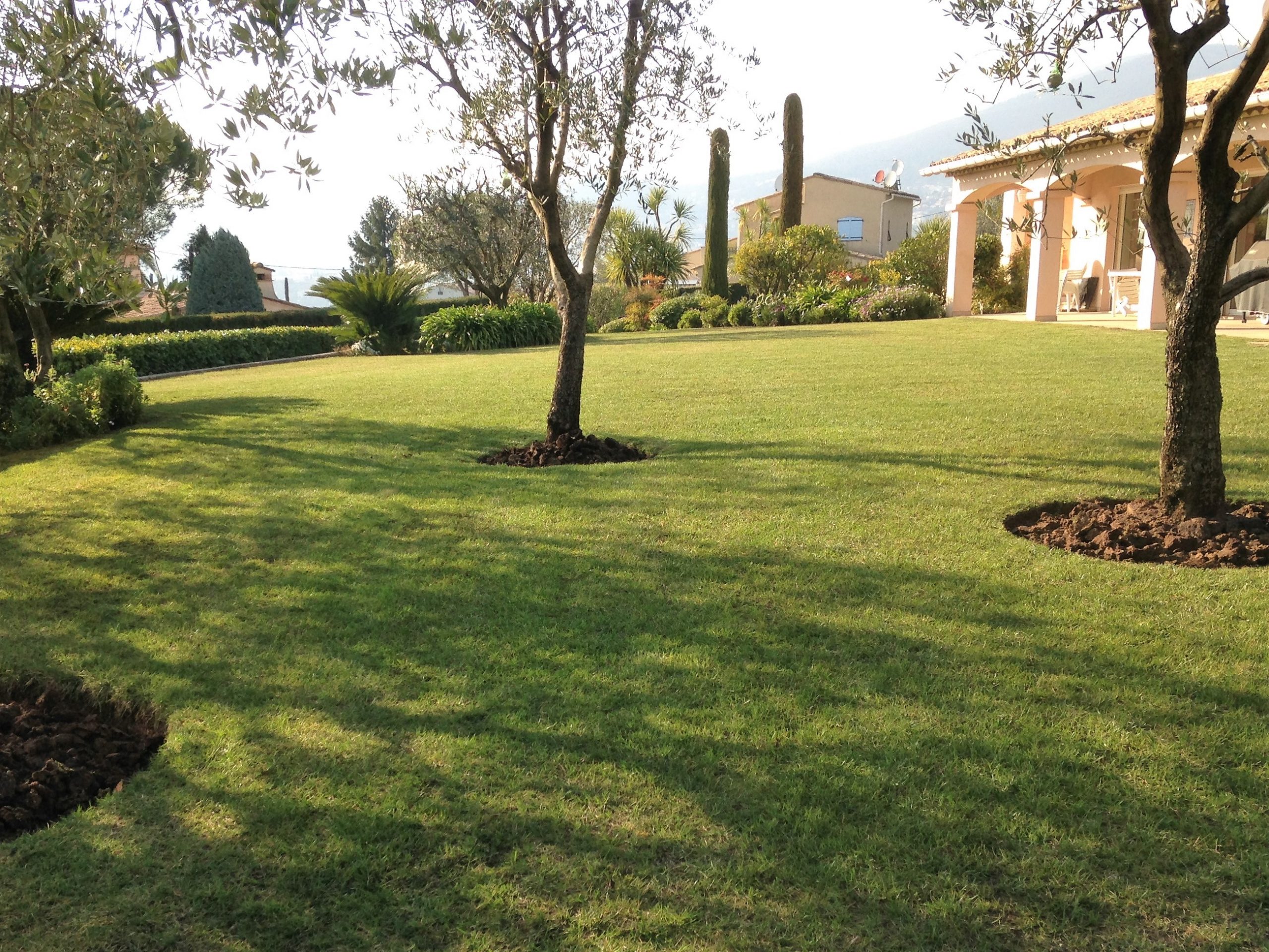 Création de jardin