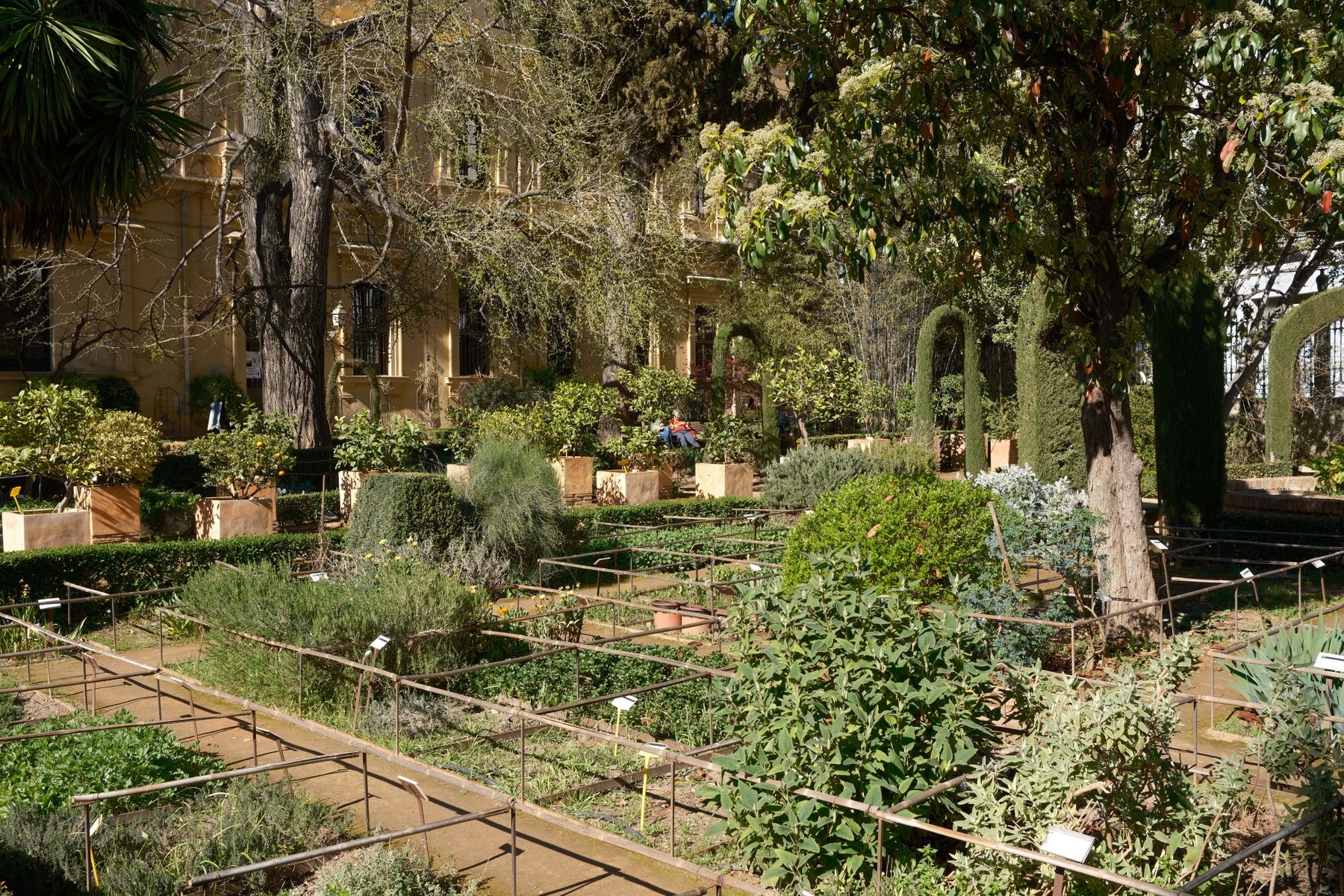 Plantes & végétaux