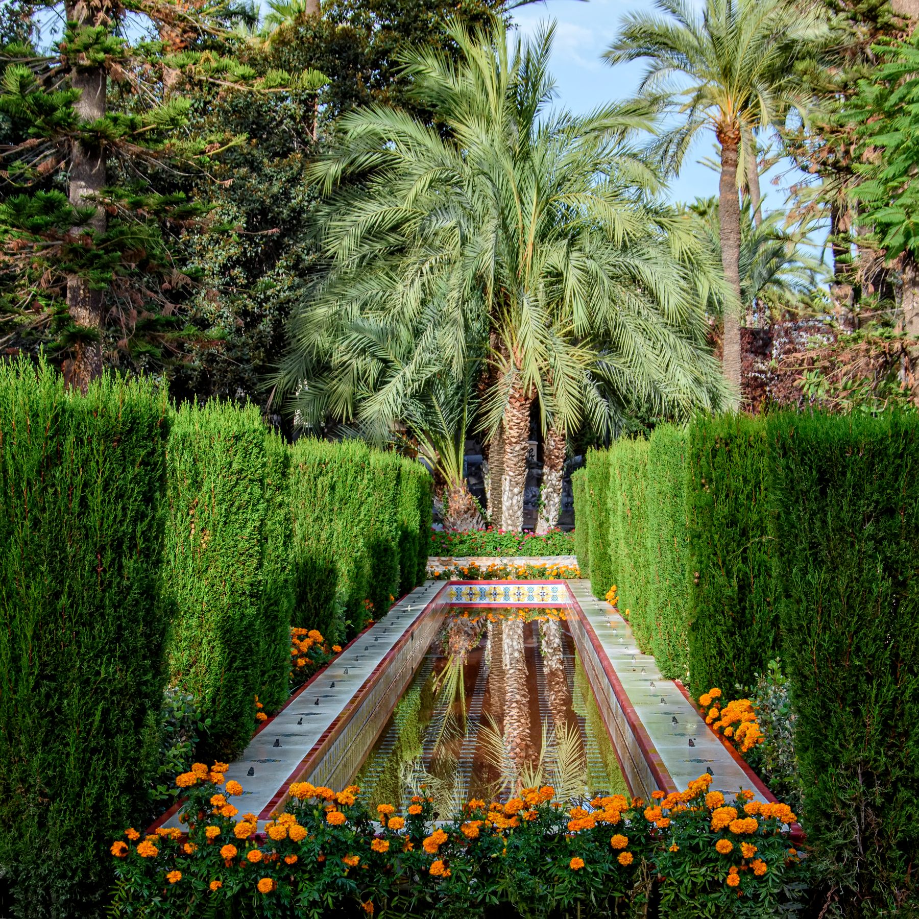Jardin méditerranéen