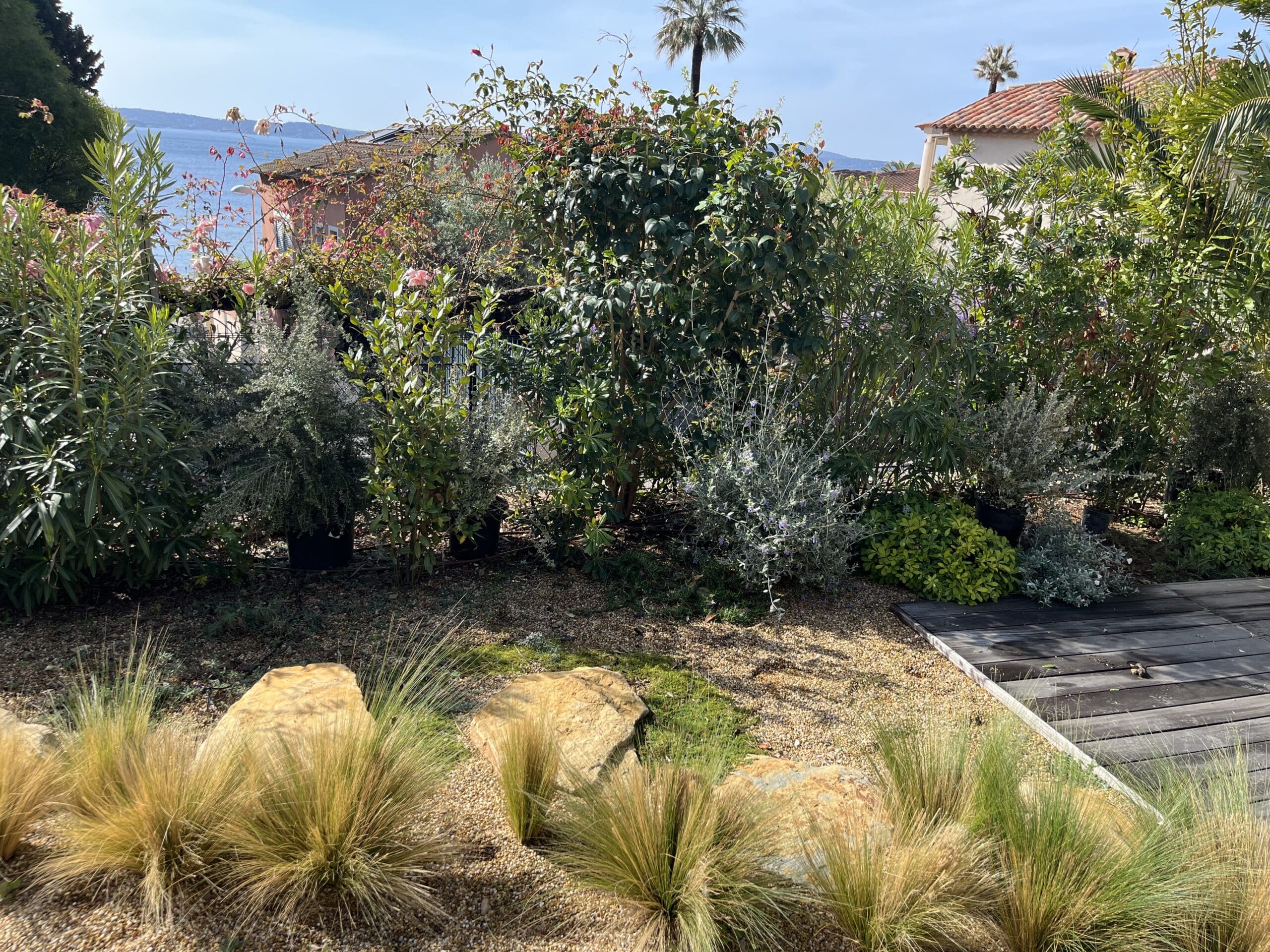 Réalisation de Exotic Paysage