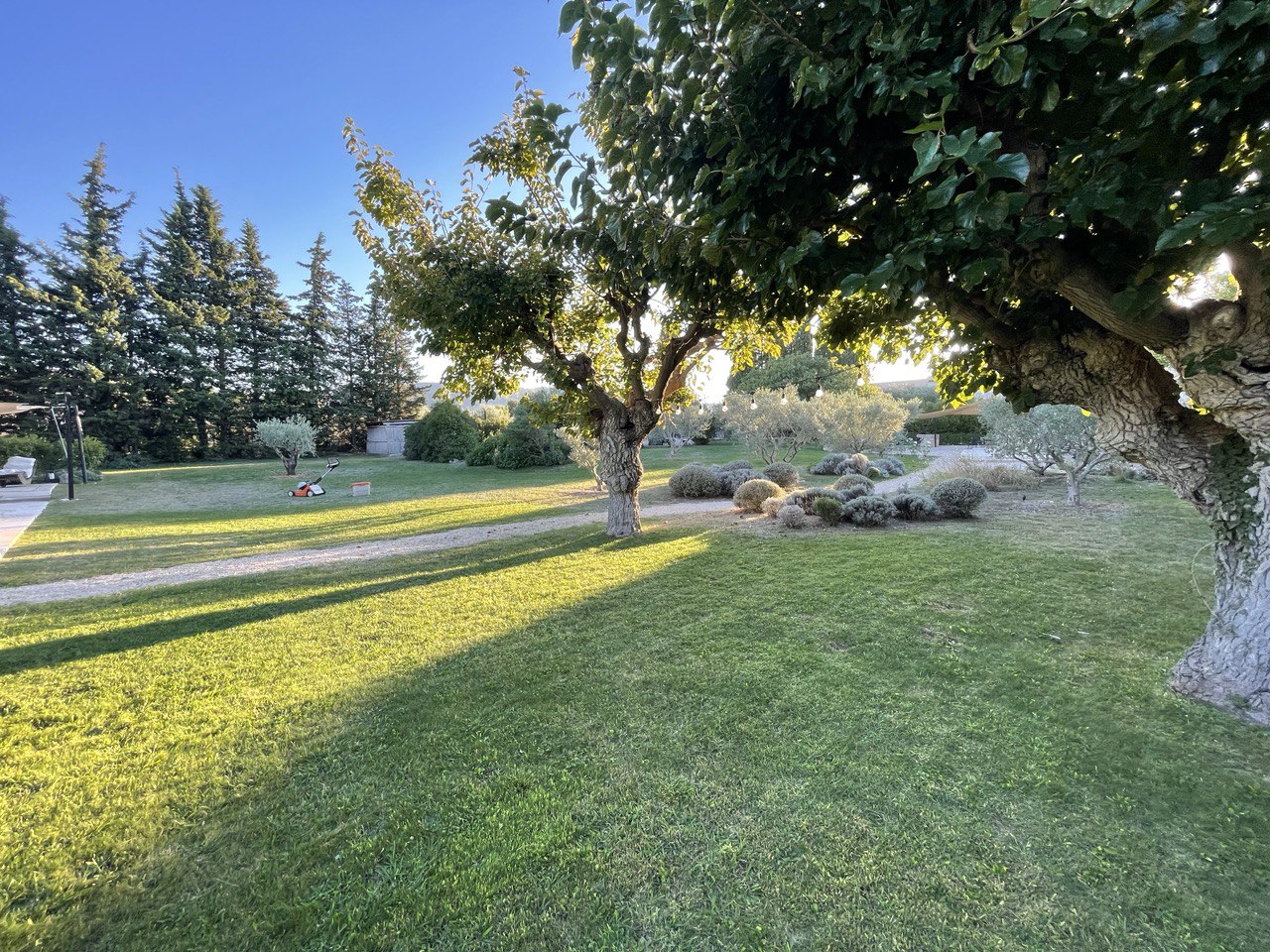 Réalisation de Garnier Jardin Entretien