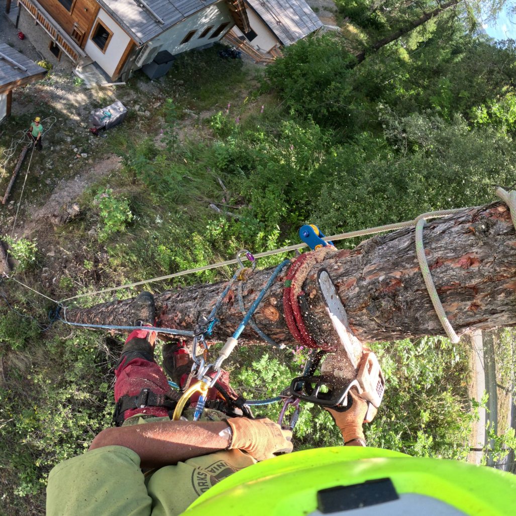Réalisation de Hautes Cimes Elagage