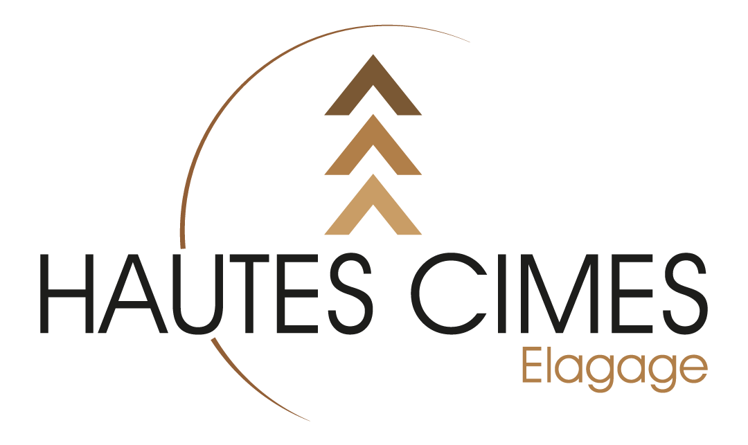 Hautes Cimes Elagage