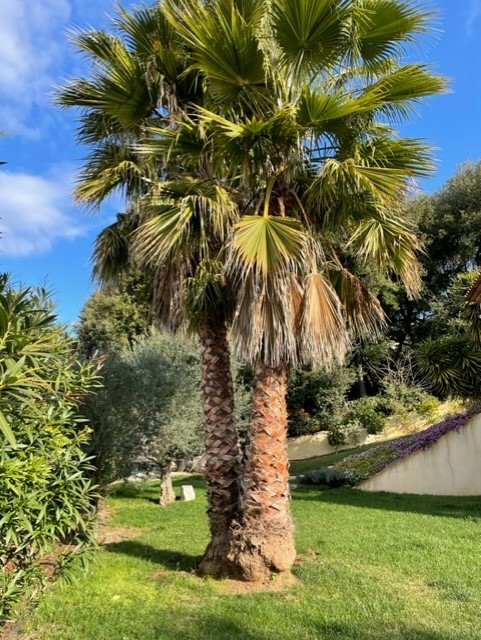 Réalisation