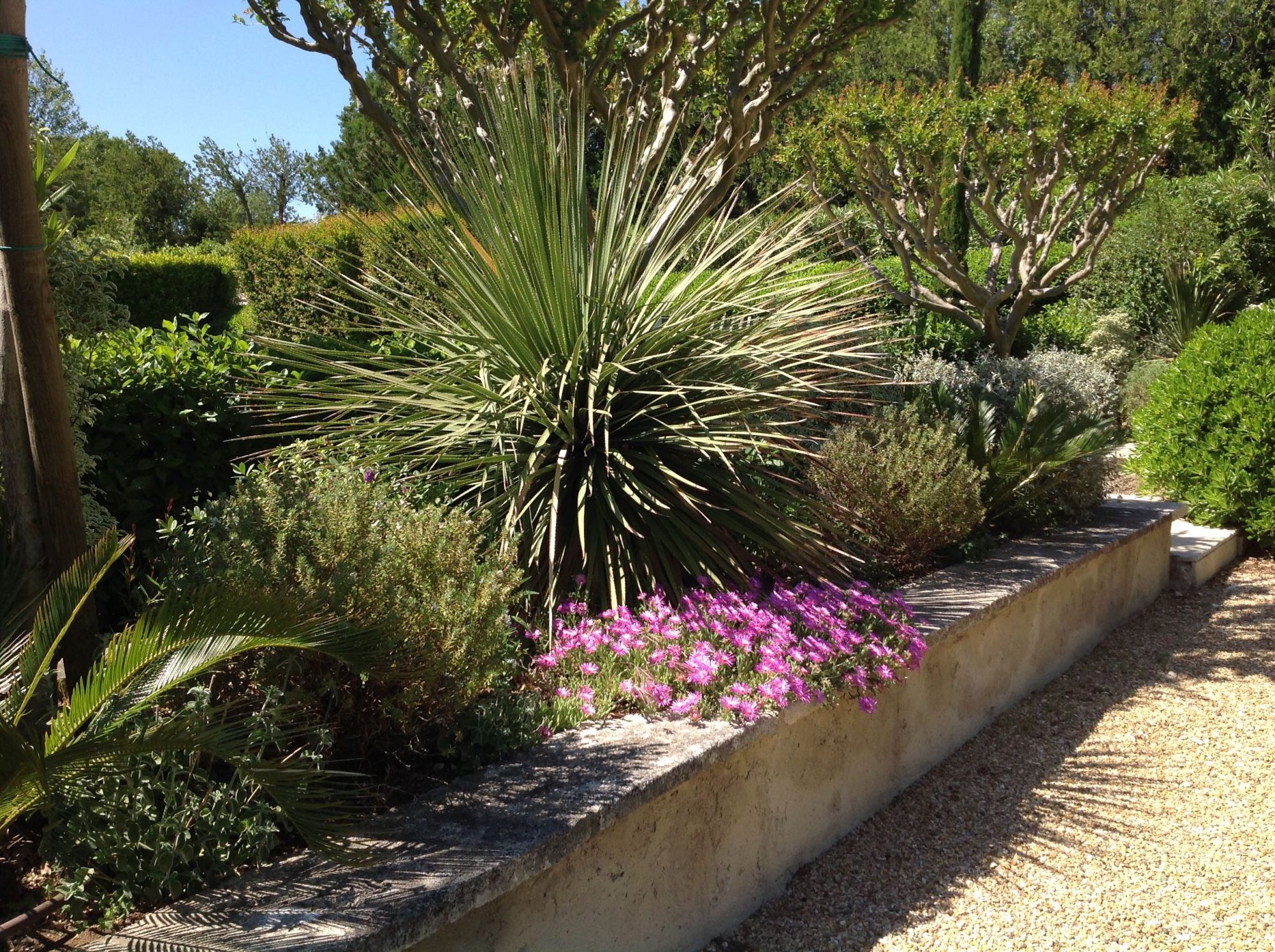Création de jardin