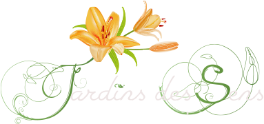 Jardins Des Sens Paysagiste