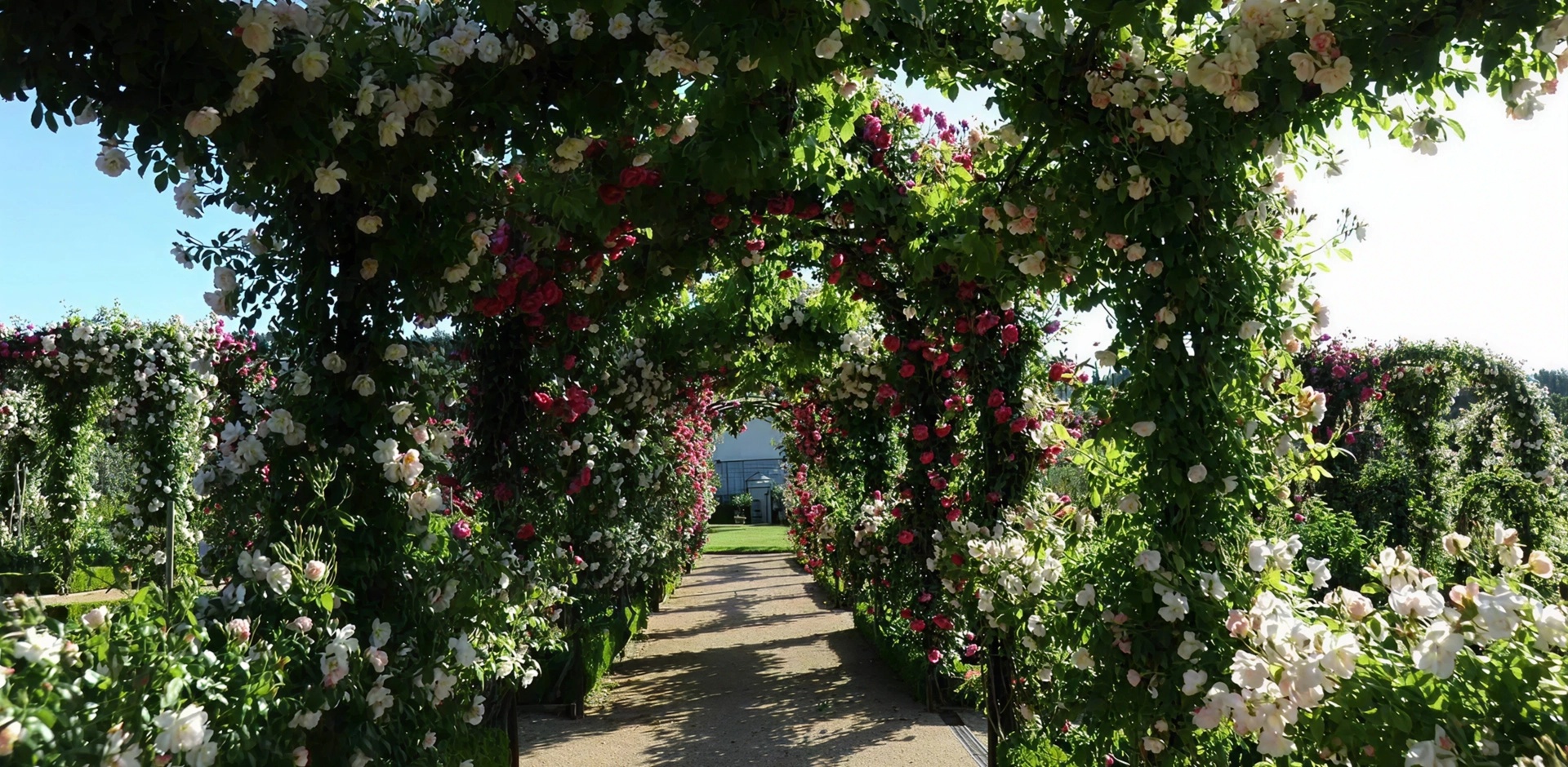 Réalisation de Jardins et Paysages de France