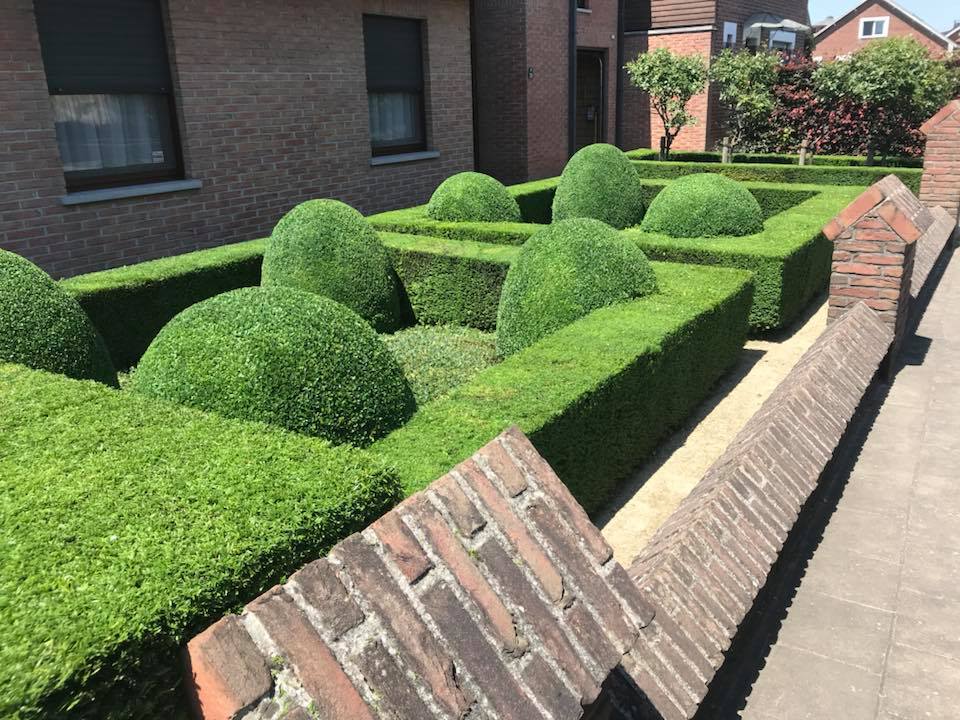 Réalisation de jm-jardin