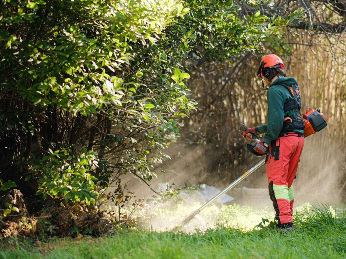 Réalisation de L'Ecureuil Vert