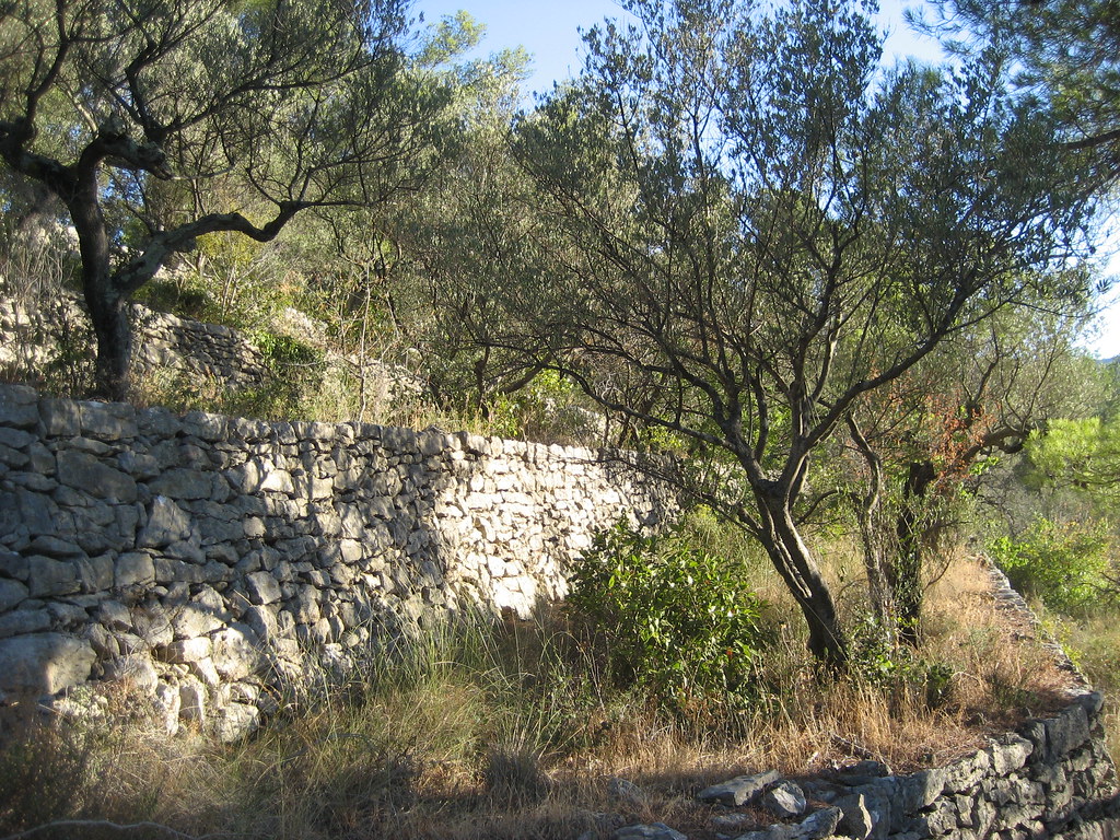 Réalisation