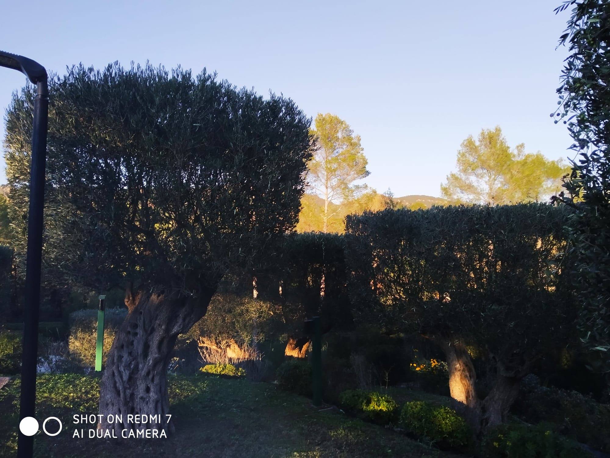 Création de jardin
