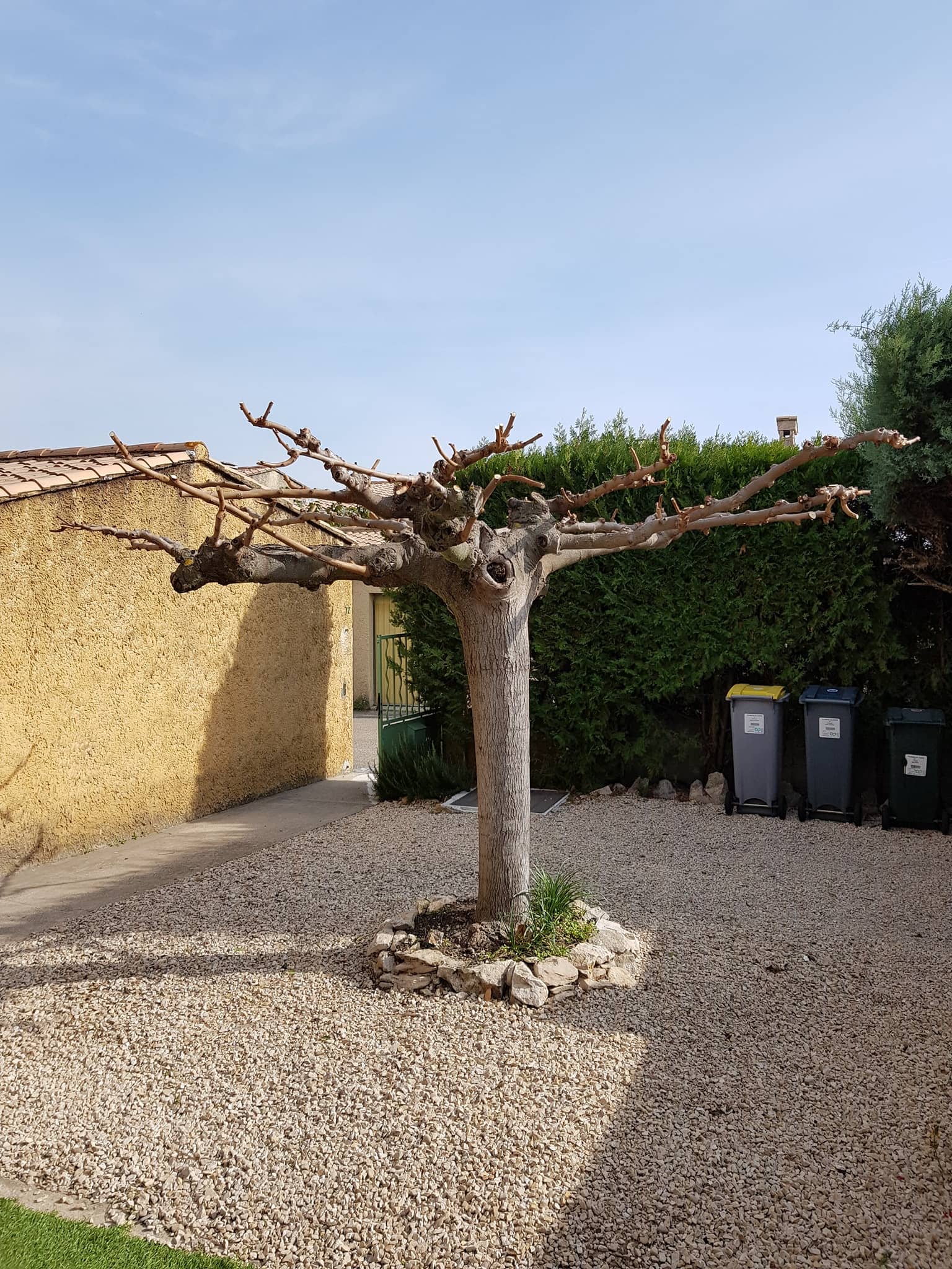Terrasse & clôture