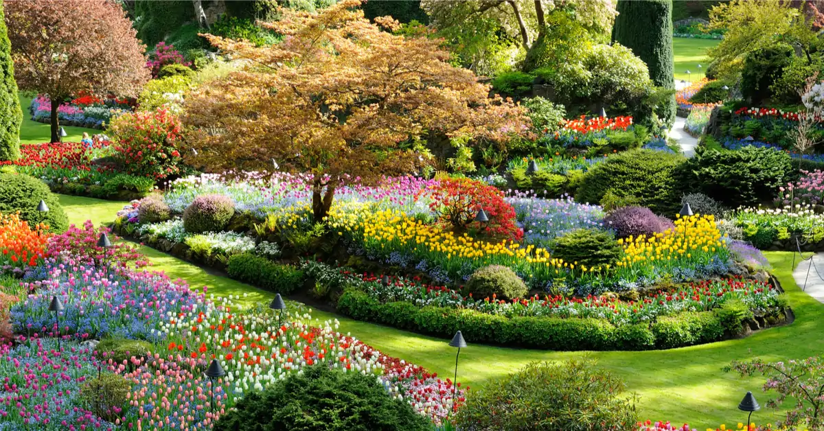 Réalisation de Les jardins phocéens