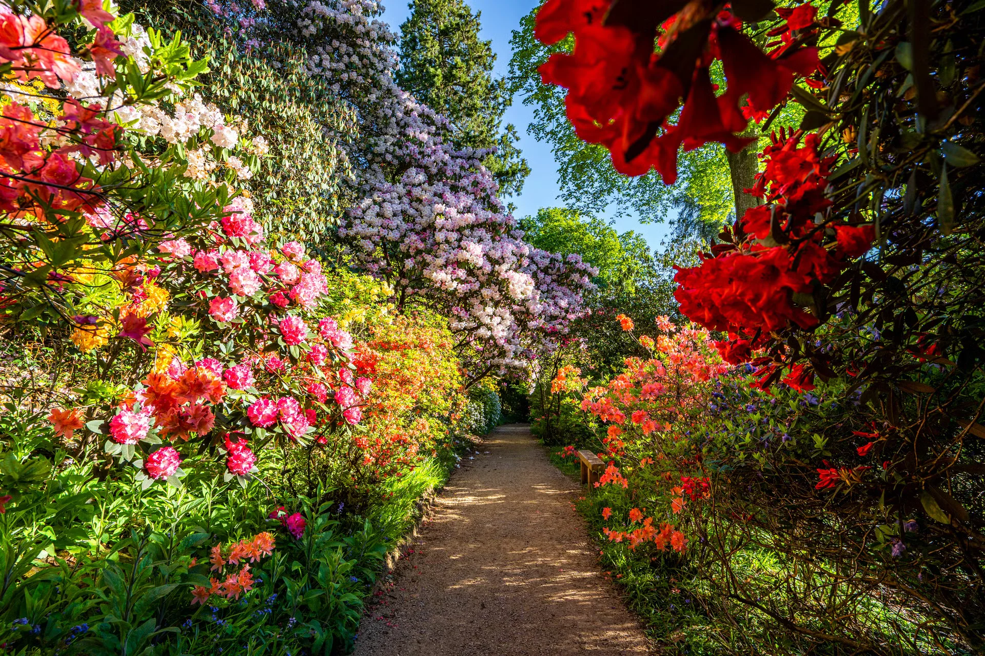 Création de jardin