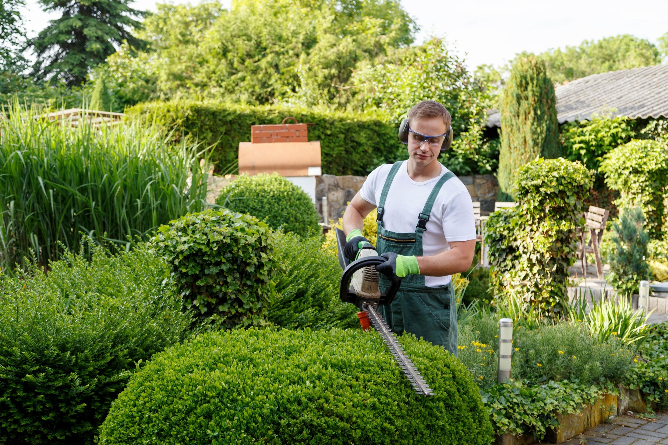 Réalisation de M.S Garden