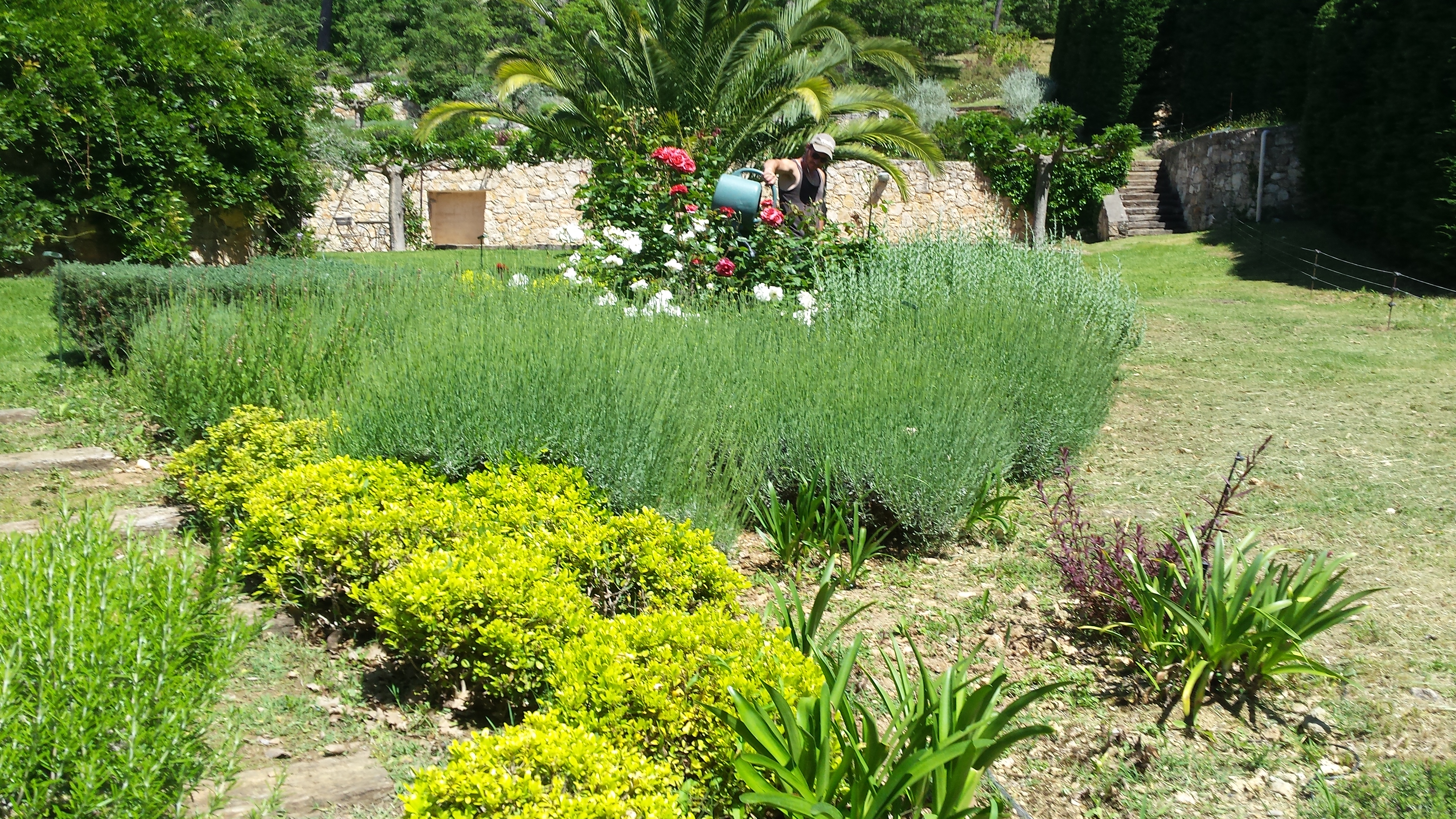 Réalisation de Nature Espaces Paysages