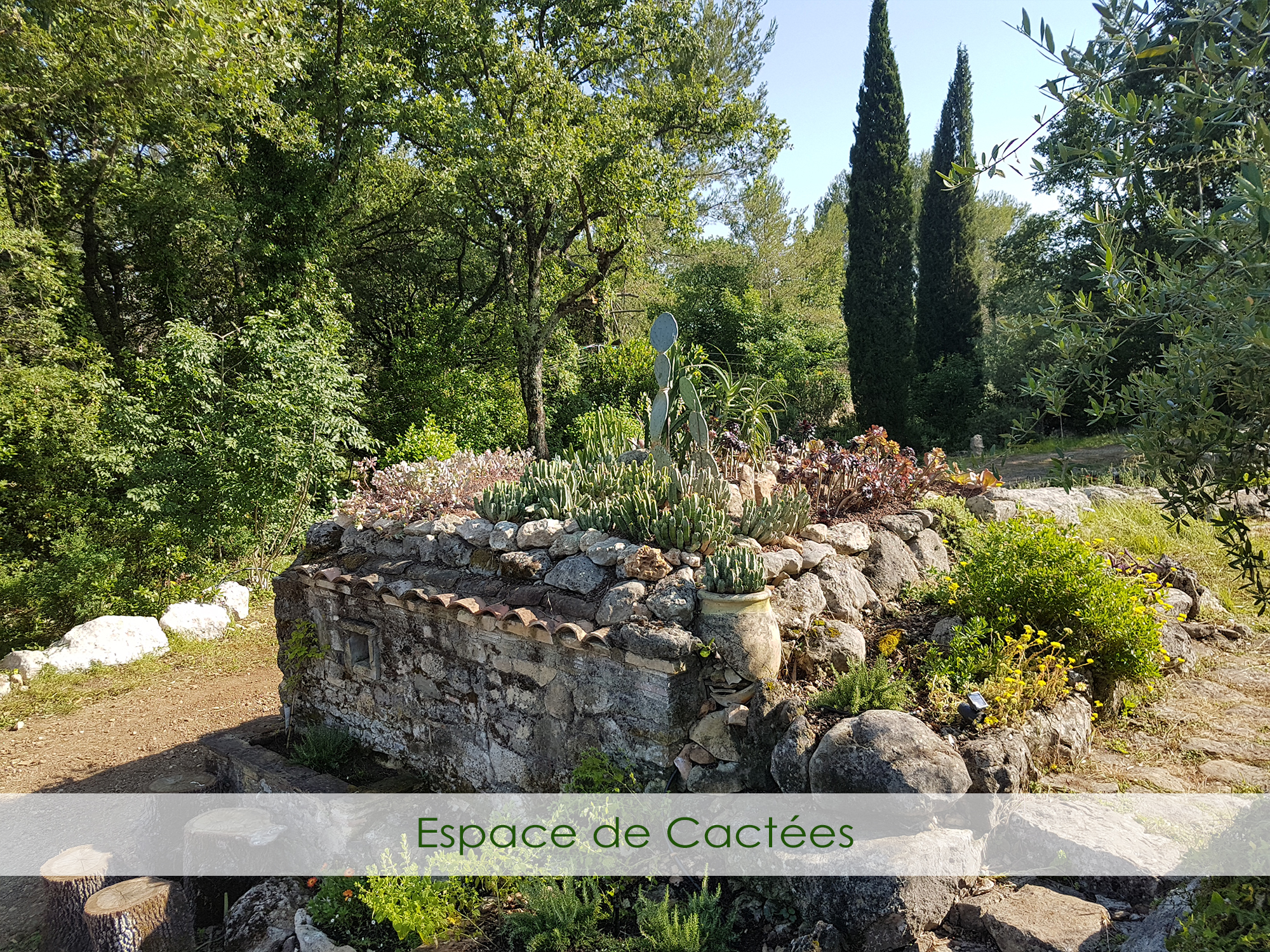 Création de jardin