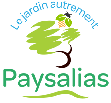 PAYSALIAS