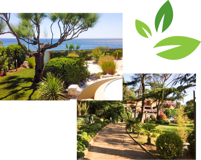 Création de jardin