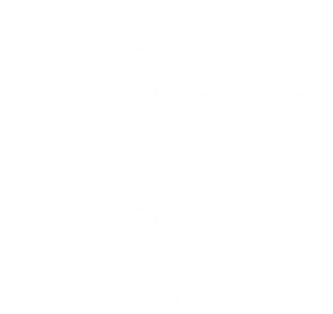 RIVIERE PAYSAGE