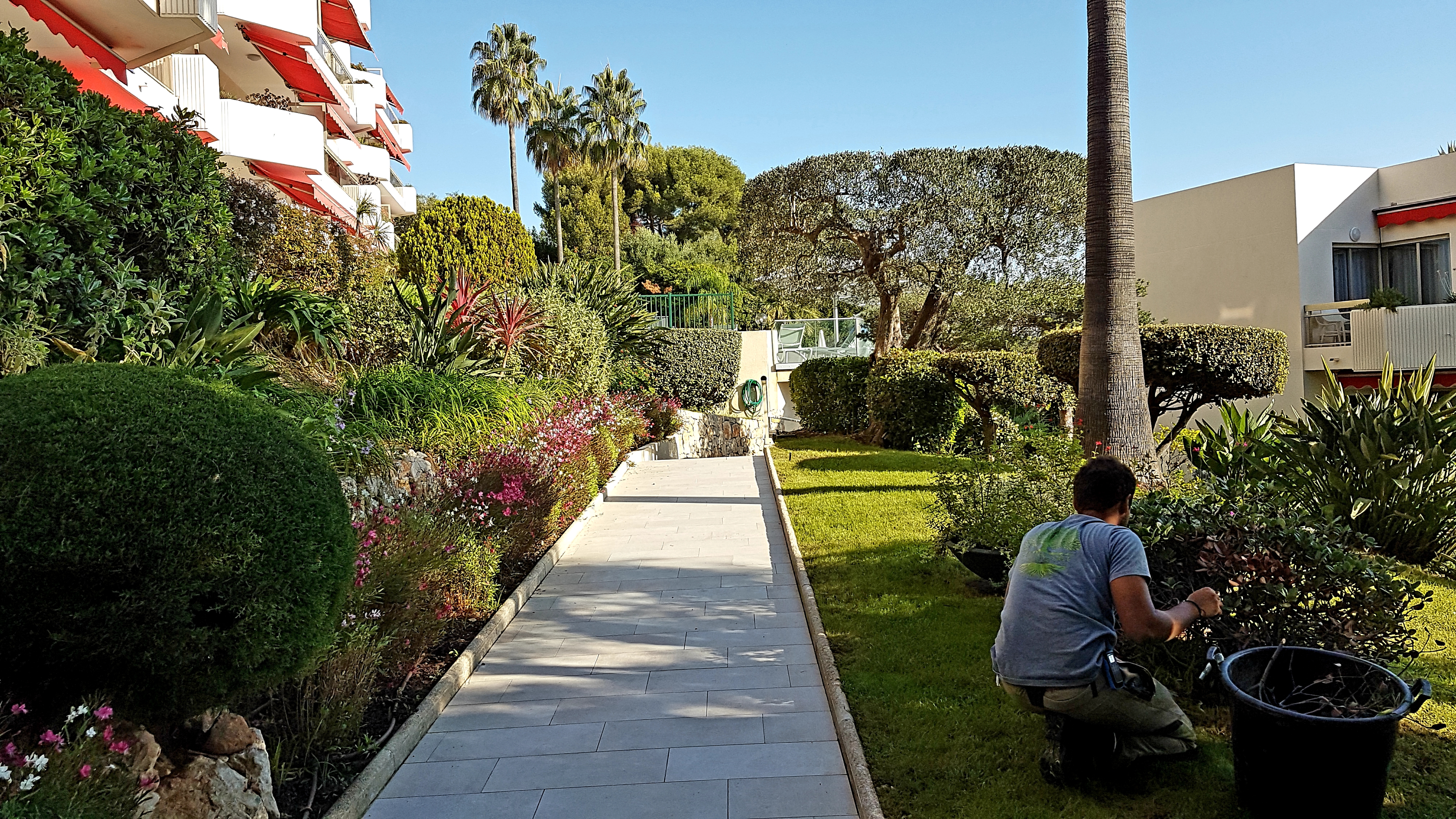 Création de jardin