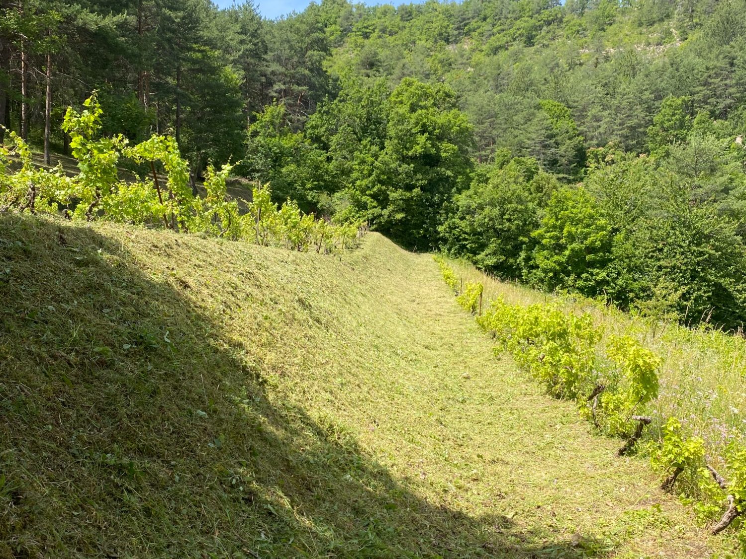 Réalisation