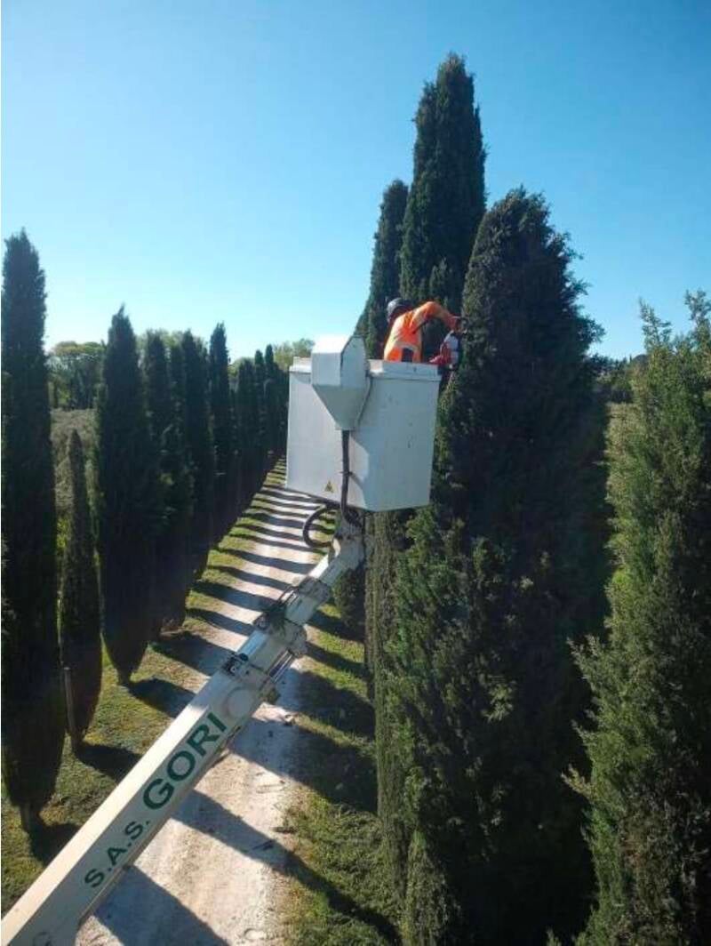 Création de jardin