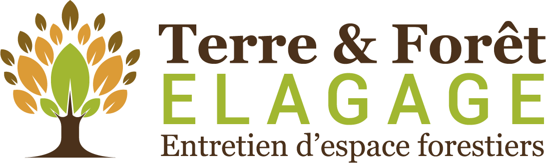 Terre Et Foret
