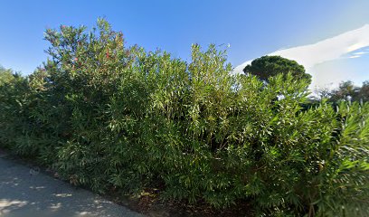 Réalisation de Topiarus création et entretien de jardin dans le Var