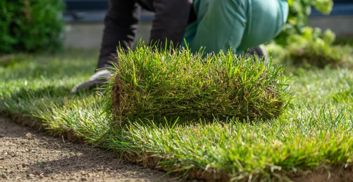 Réalisation de Unique Garden