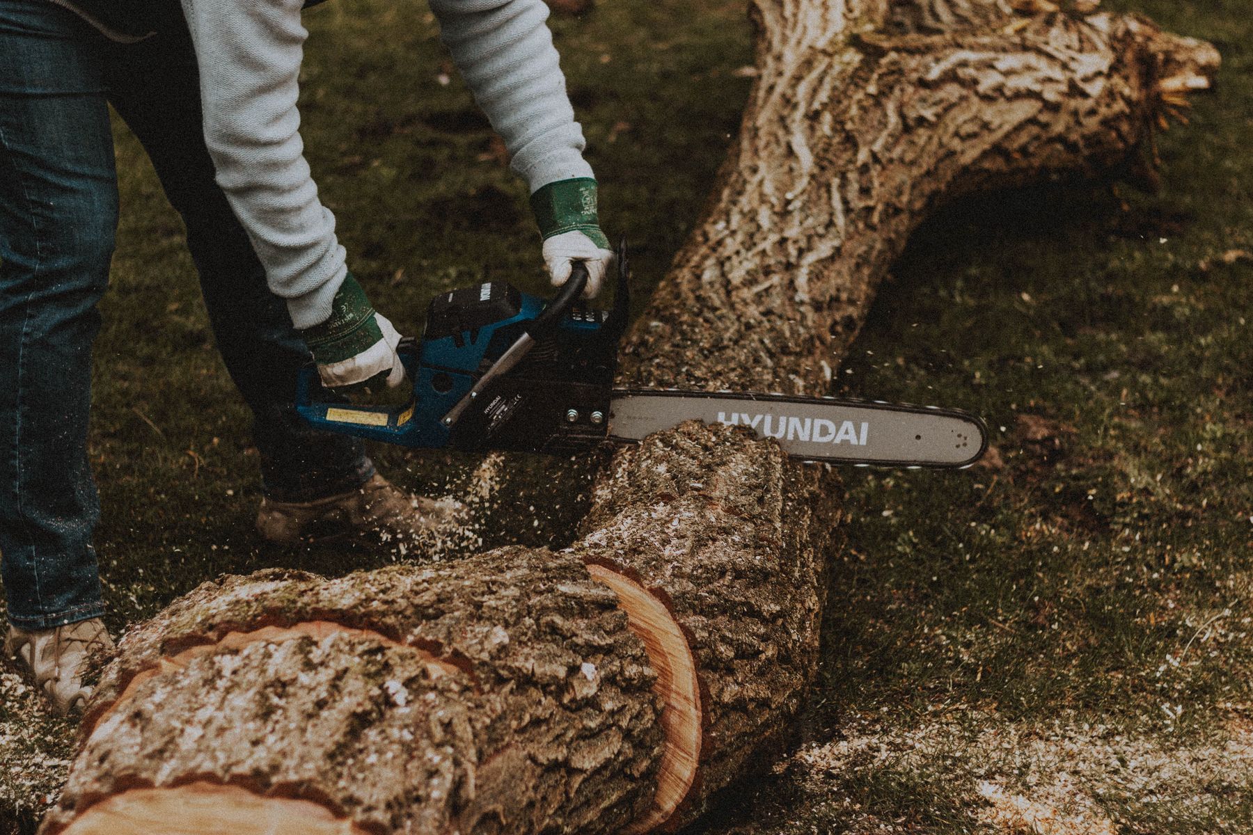 Réalisation de Vertic'Arbre